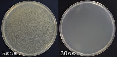 外部試験機関による実験の様子