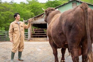 昔ながらの放牧で育てられる「いわて短角牛」