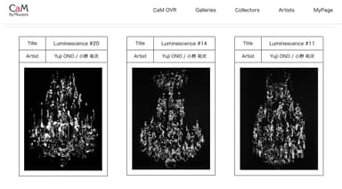 ＜CaM OVR展示画面イメージ＞ (C)Yuji ONO／小野祐次 Courtesy of ShugoArts