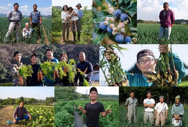 旬の野菜・果物だけを使用