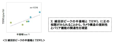 X線回折ピークの半値幅とTEWL