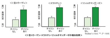 3型コラーゲン・エラスチン・リシルオキシダーゼの増加効果