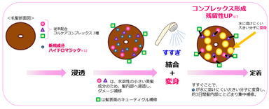 Wコルケアコンプレックス