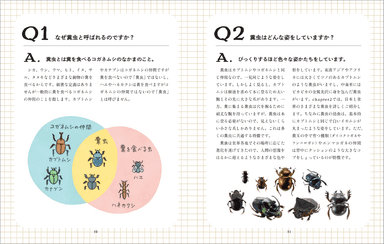 16のQ＆Aで糞虫の生態に迫ります。