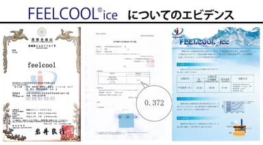 FEELCOOL(R) iceについてのエビデンス