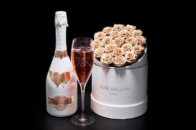 ANGEL CHAMPAGNE × ROSE GALLERY