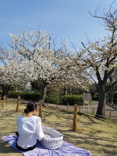 Picnic with Baby