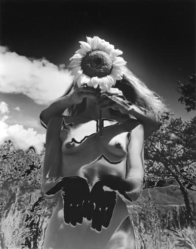 細江英公〈ルナ・ロッサ〉より《ひまわりの歌》 1992年 (C)Eikoh Hosoe