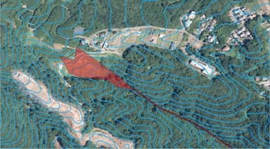 盛土後の斜面