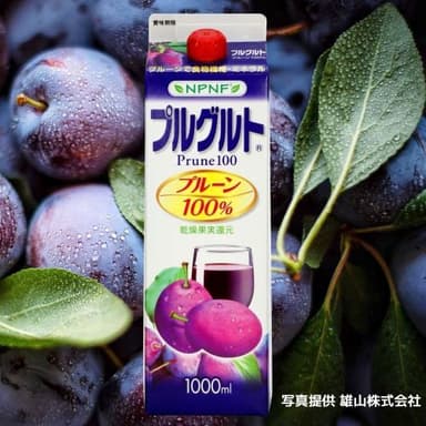 「プルグルト(1000ml)」(雄山株式会社)