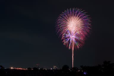 千葉市昭和の森ではミュージック花火も