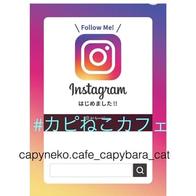 「カピねこカフェ」のインスタグラム