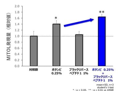 図5．「ボタンピエキス」×「ブラックリバースペプチド1」によるMITOL発現上昇