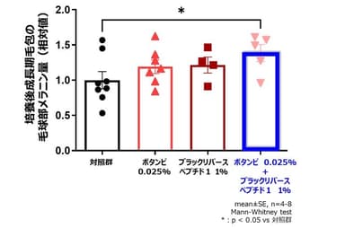 図6．毛包におけるメラニン含量の増加