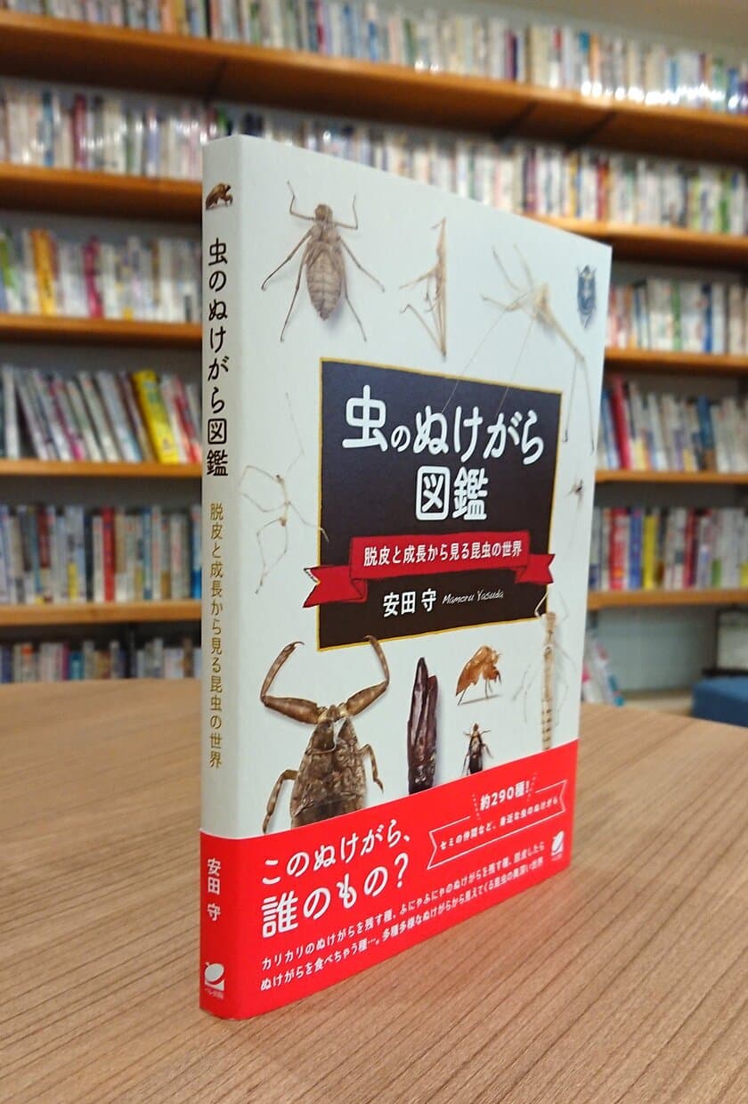 セミだけじゃない！この「ぬけがら」の落とし主は誰？
『虫のぬけがら図鑑 ―脱皮と成長から見る昆虫の世界』
2021年7月27日に発売！