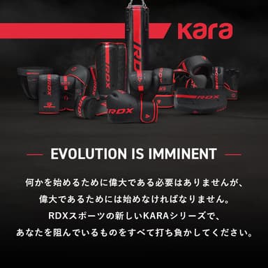 日本未発表のシリーズ「KARA」が公式オンラインショップで発売開始