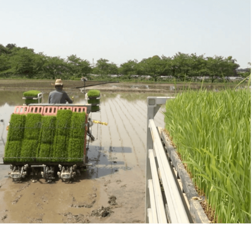 生産者さんのこだわりや想いをお客様に伝える
直送通販サイト「鮮菜」が、生産者さんの募集開始！！