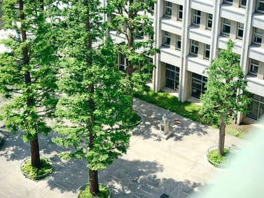 明治学院大学