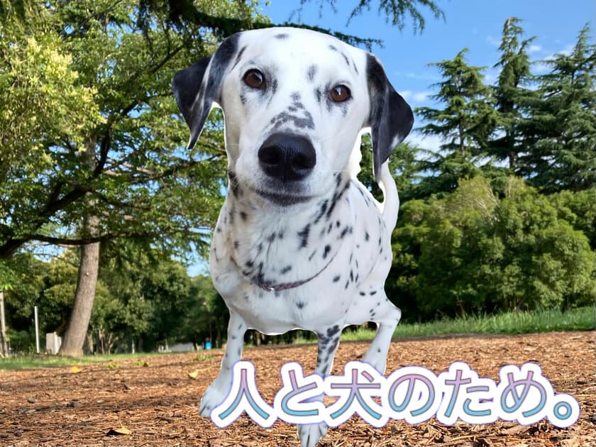 「人も犬も本当の意味で住みやすい街づくりを」
クラウドファンディングを実施　
～おさんぽマナーの統一で地域貢献。災害時の同行避難問題も解消～