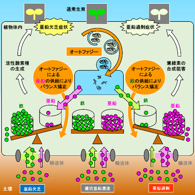 図2