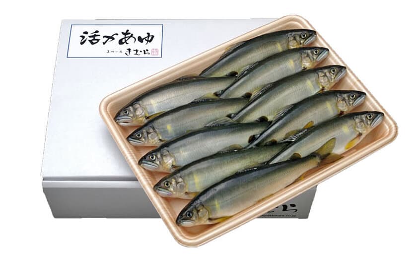 今が旬の香魚“鮎”を用いた「活〆あゆ」「あゆの塩焼き」を
含む商品を期間限定・送料無料で販売開始