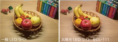 一般LEDライトと太陽光スペクトルLEDライト