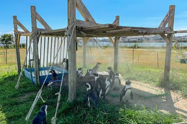 現状の日除け小屋