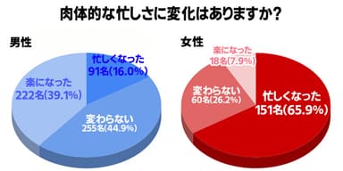 コロナの影響で肉体的に忙しくなったと感じている男女の比率