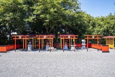 柏の杜神社の全景