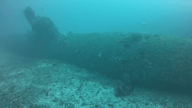 海底に眠る海龍