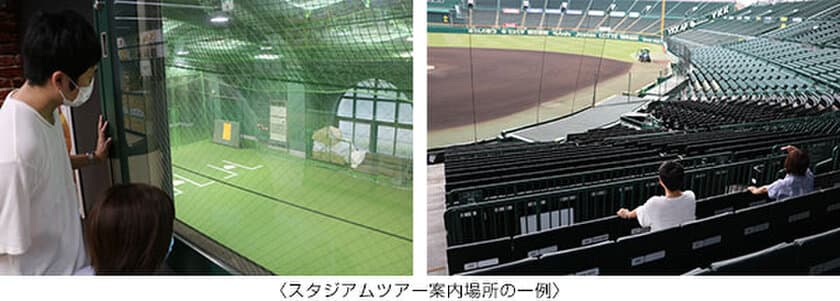 甲子園歴史館休館中も「阪神甲子園球場スタジアムツアー」開催します
（開催期間：9月7日（火）～10月3日（日））