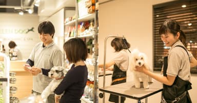 卒業した保護犬との暮らしを特別価格で生涯サポート