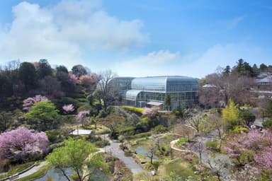 写真提供：高知県立牧野植物園