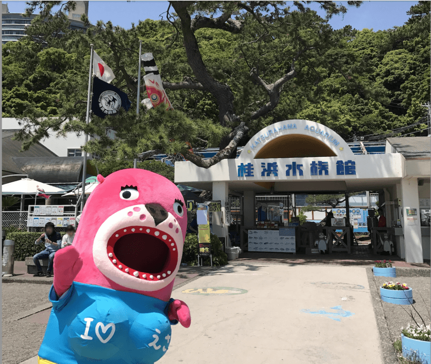 水族館 人気ランキング※1　第1位 高知県「桂浜水族館」が
国内初※2『アシカとアクアティックプログラム』を開催