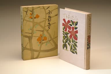 田口掬丁著『ふたおもて』前 大正4年(1915)　愛媛県美術館