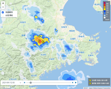 高解像度降水ナウキャスト・発雷観測