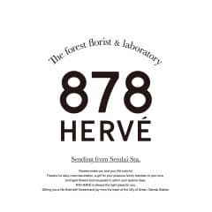 878HERVE