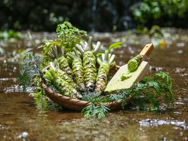 天城山系の湧水のわさび沢