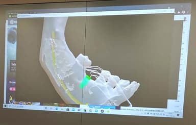 2Dで映写したVR画像