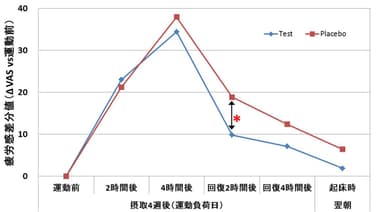 試験結果