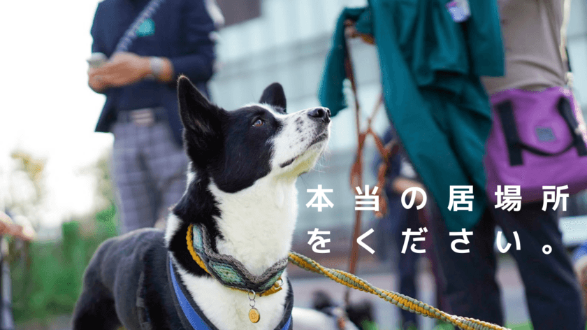 地域の方からも愛される犬にするための
クラウドファンディングを実施