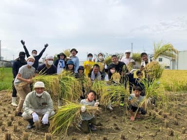 ほろ酔いカレッジの酒米収穫祭