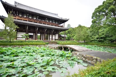 東福寺の至宝巡り(三門)