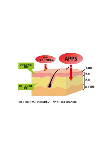 APPSの浸透度はこんなにスゴい！