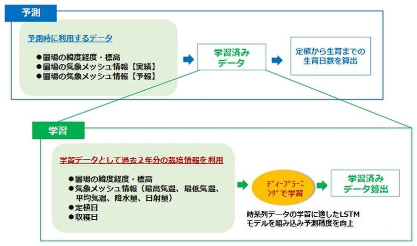 AIを活用したレタスの生育予測の実証で出荷予測精度を
大幅に向上　有限会社トップリバー(長野県)の
御代田農場および富士見農場において本格運用開始