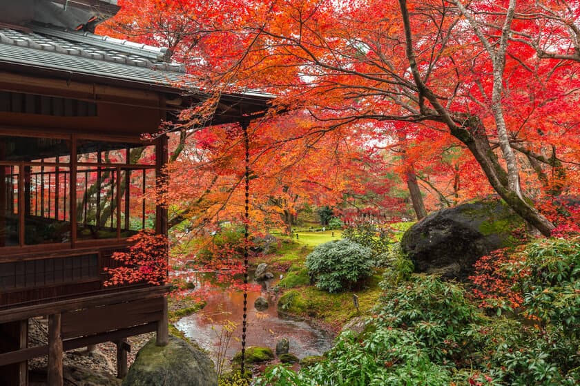 貸し切りのなか、密を避け、京都の紅葉を愛でる
京都ブライトンホテルの朝活 秋の特別早朝拝観プランを販売開始