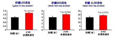 図2：トマトの水溶性成分による肝臓中のアルコール代謝関連酵素活性の変動