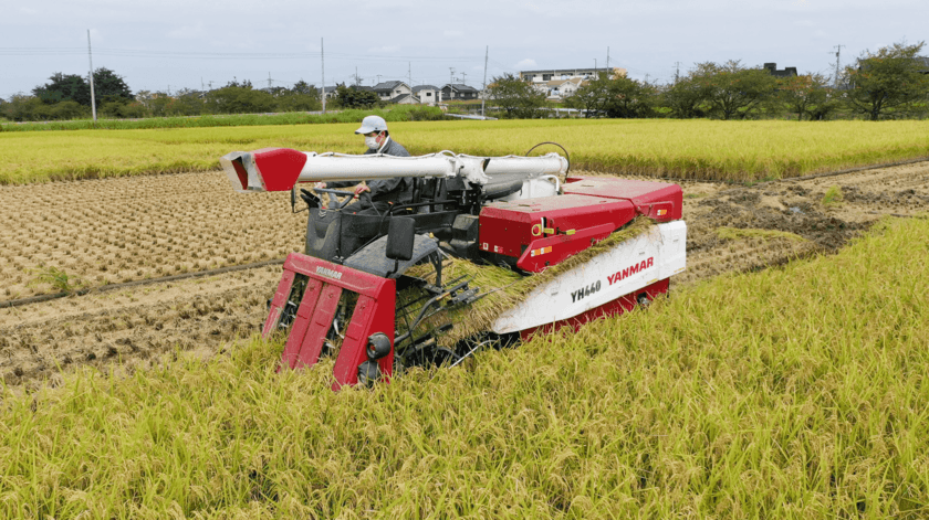 野菜や果物を生産者から直送する産地直送通販サイト「鮮菜」　
2021年秋に新米の取り扱いを開始！