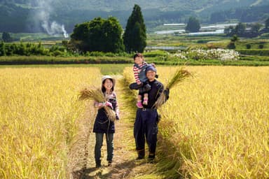 国土交通大臣賞