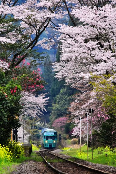 九州旅客鉄道株式会社社長賞